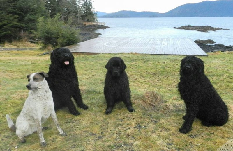 Фотография № 203215