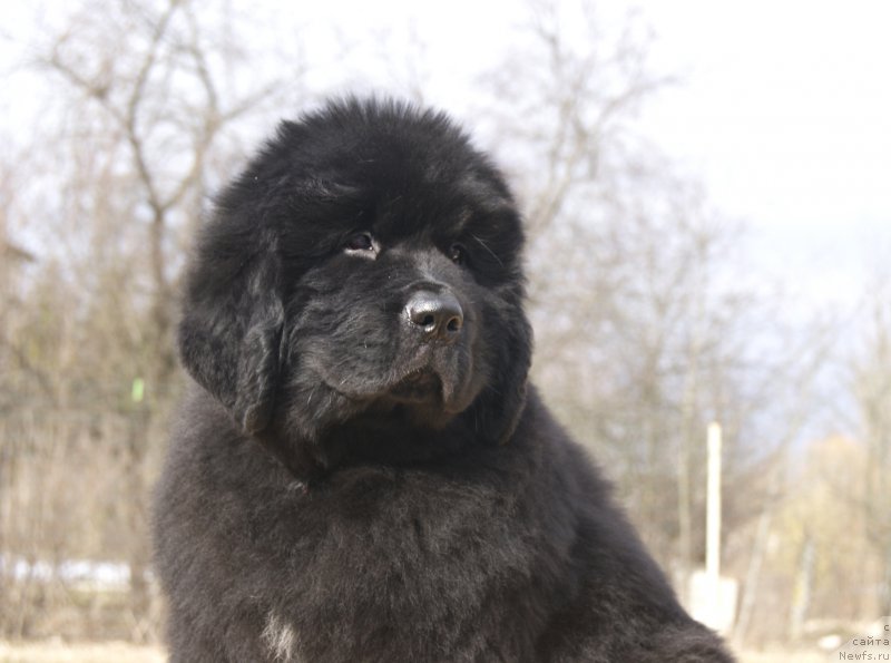 Фотография № 203252