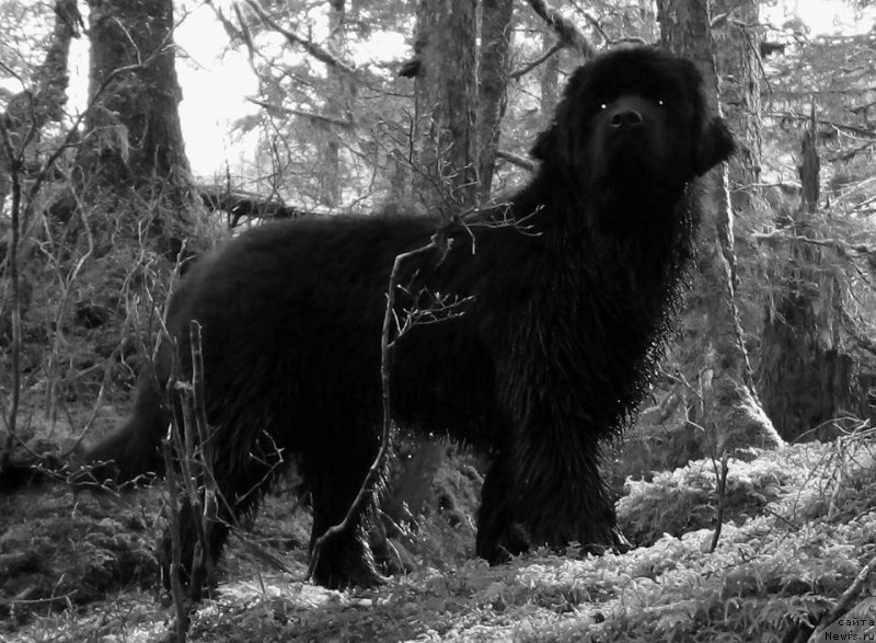 Фотография № 203266