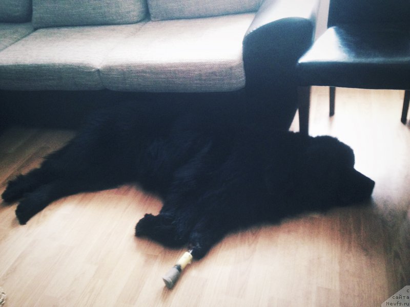 Фотография № 203270