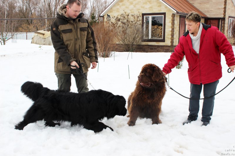 Фотография № 203271