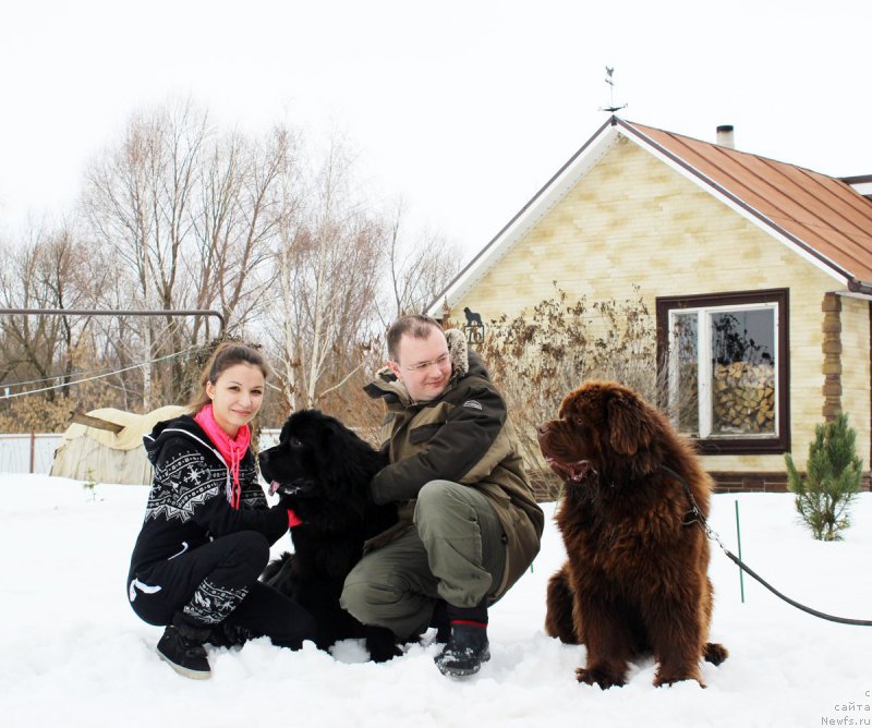 Фото: Elena Muratova (Елена Муратова), Александр, ньюфаундленд CHernyiy Balu Erofey (Черный Балу Ерофей), ньюфаундленд Charmer Denkam Bronze (Чармер Денкам Бронз)