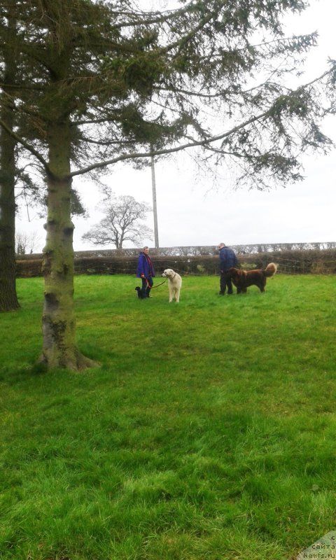 Фотография № 203274