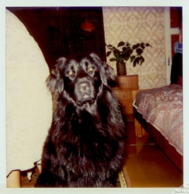 Фото: ВартЧара