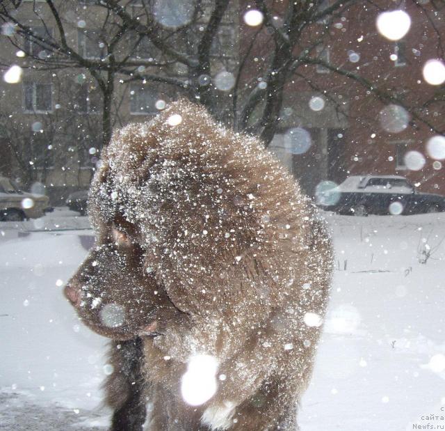 Фотография № 20332