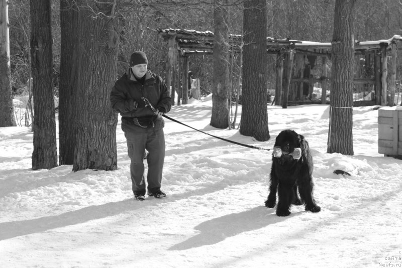 Фото: Aleksandr Ponomaryov (Александр Пономарёв), 