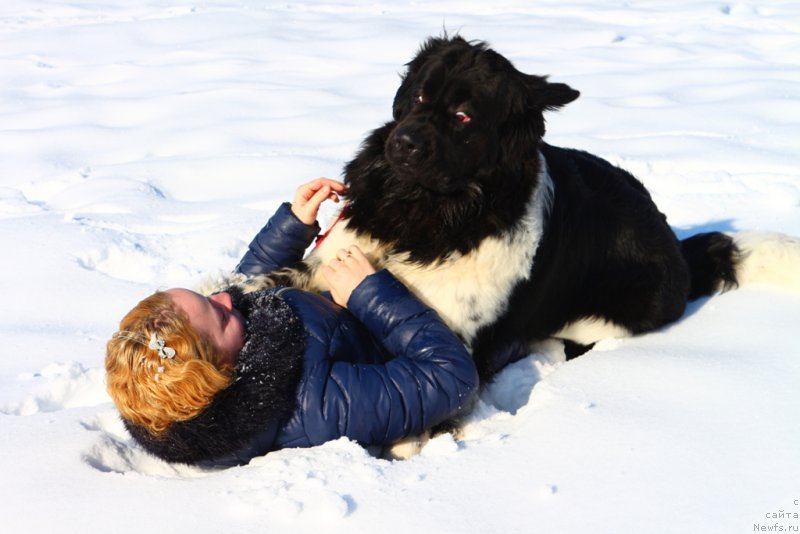 Фото: Ol'ga Martyinova (Ольга Мартынова), ньюфаундленд Angels Keeper Nibelung (Энджелс Кипер Нибелунг)