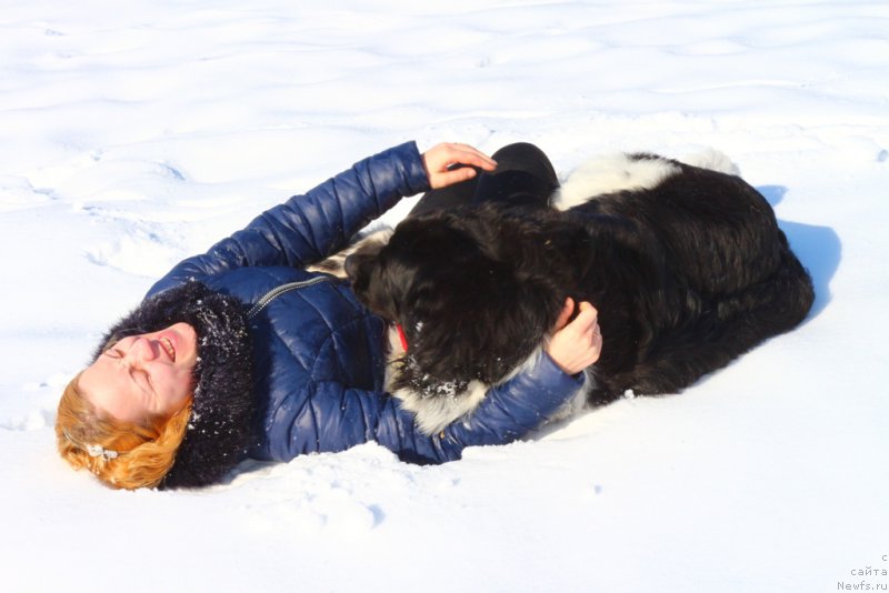 Фото: Ol'ga Martyinova (Ольга Мартынова), ньюфаундленд Angels Keeper Nibelung (Энджелс Кипер Нибелунг)
