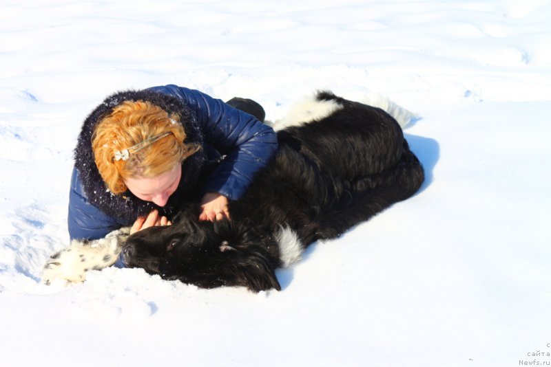 Фото: Ol'ga Martyinova (Ольга Мартынова), ньюфаундленд Angels Keeper Nibelung (Энджелс Кипер Нибелунг)