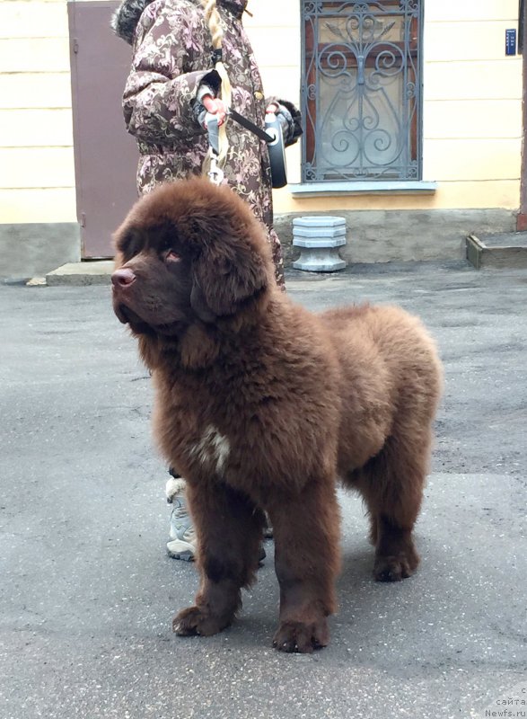 Фотография № 203344