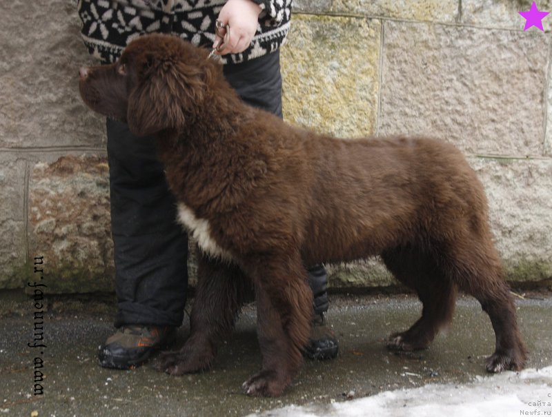 Фотография № 203347