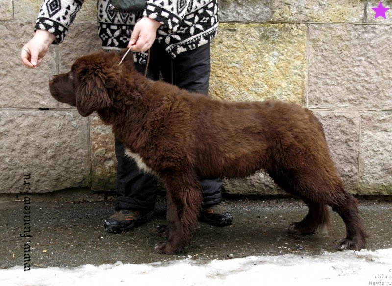 Фотография № 203349