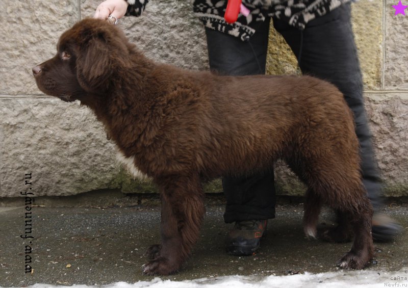 Фотография № 203351