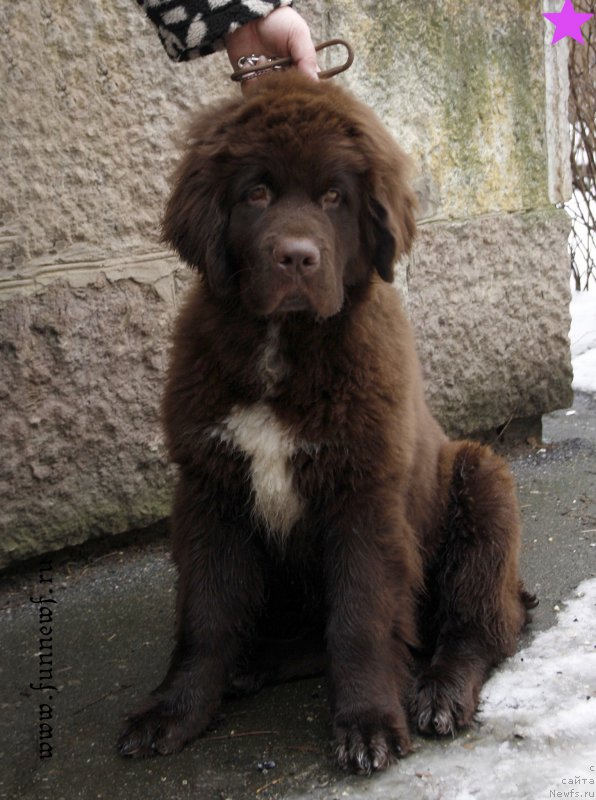 Фотография № 203353