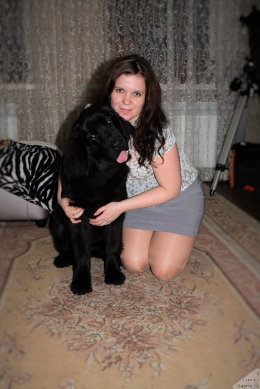 Фотография № 203356