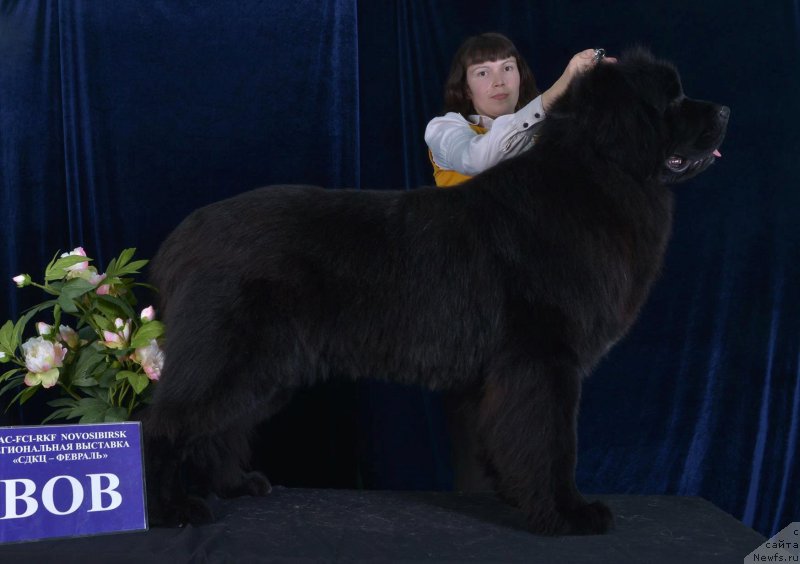 Фотография № 203361