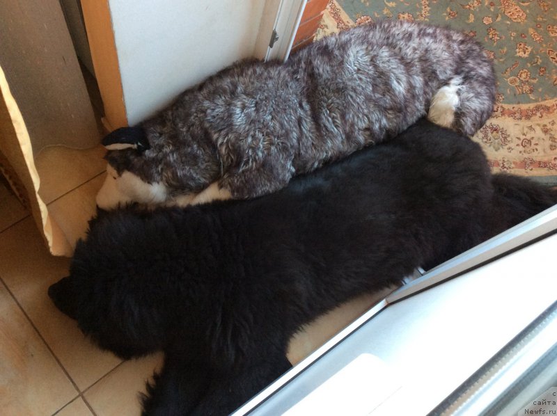 Фотография № 203369