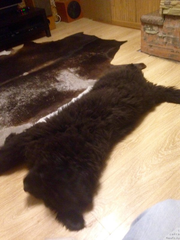 Фотография № 203387