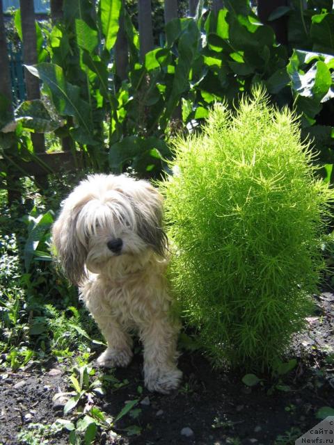 Фото: Dar'ya Gusyinina (Дарья Гусынина)