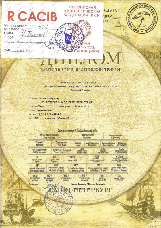 Фото: ньюфаундленд I Follow The Sun de L'Etoile de Cyrice