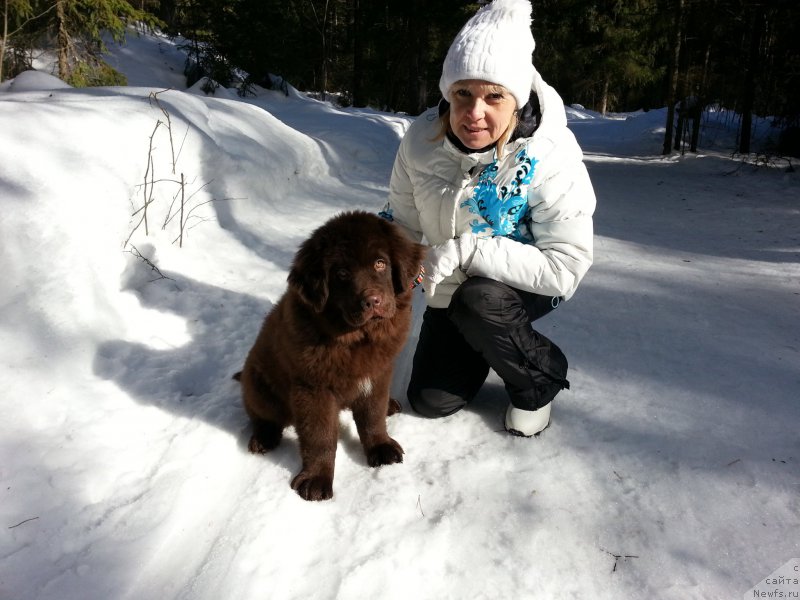 Фотография № 203410