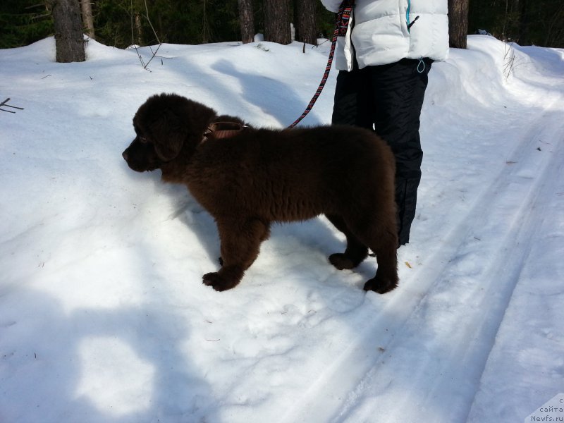 Фотография № 203411