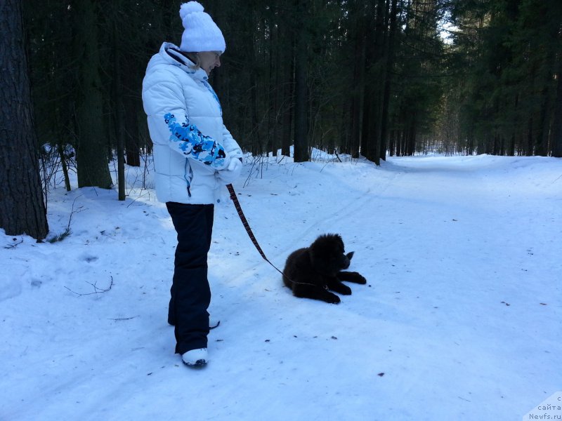 Фотография № 203412