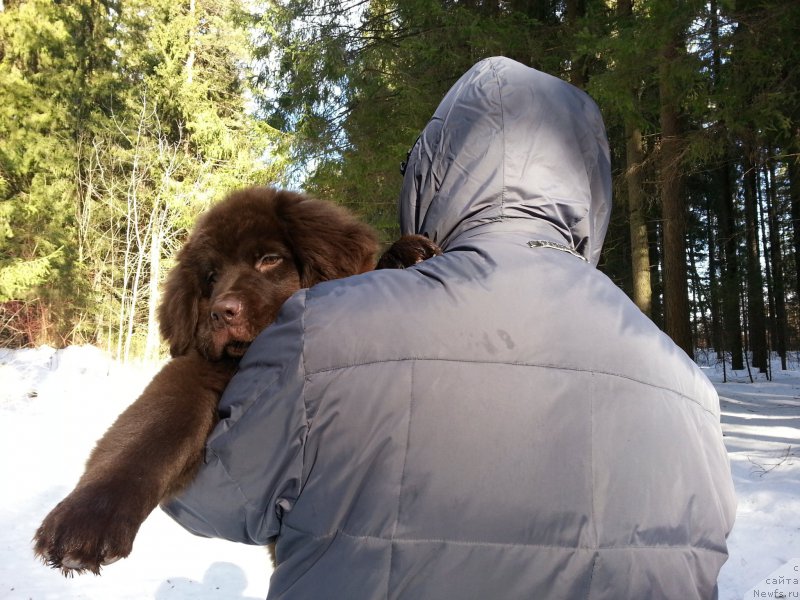 Фотография № 203413