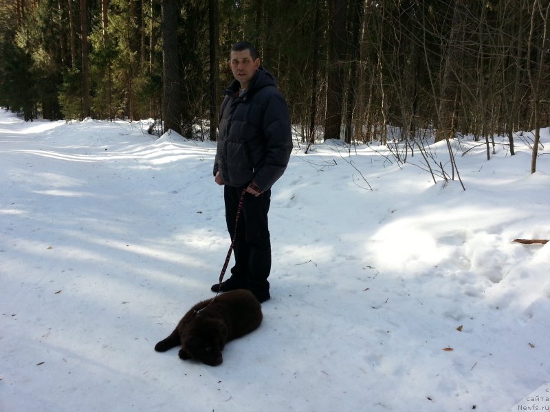 Фотография № 203414