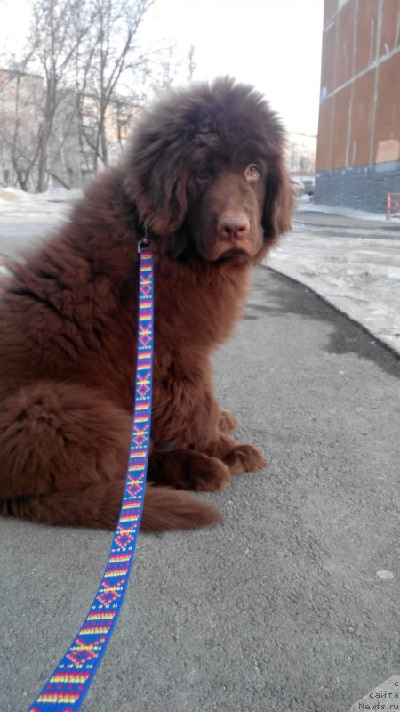 Фотография № 203415