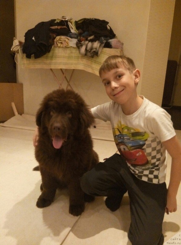 Фотография № 203417