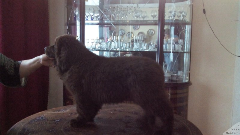 Фотография № 203418