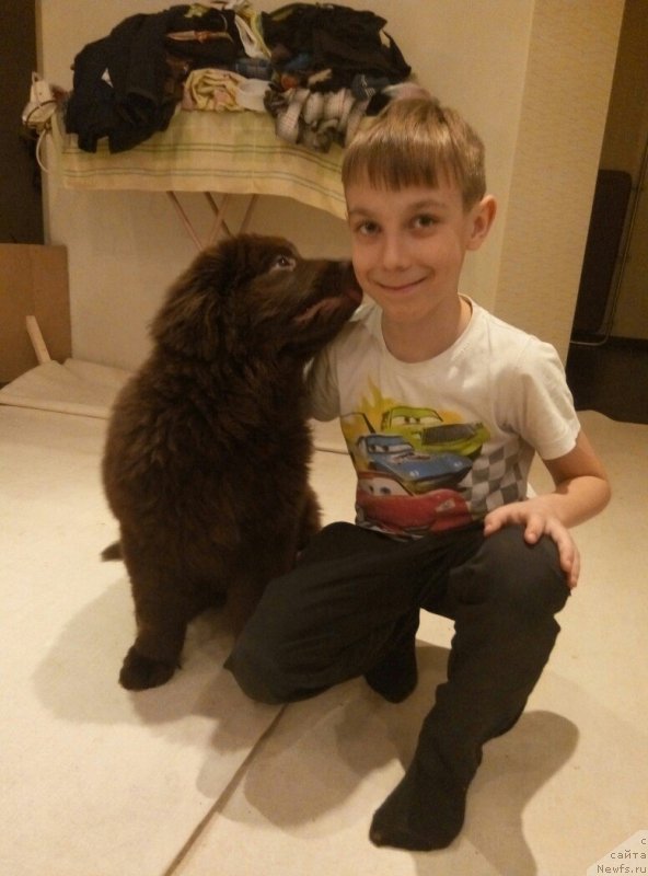 Фотография № 203420