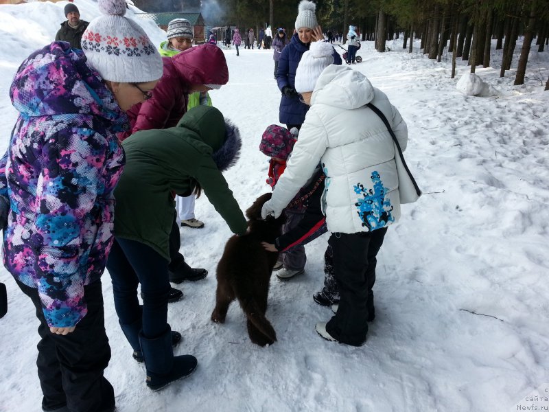 Фотография № 203457