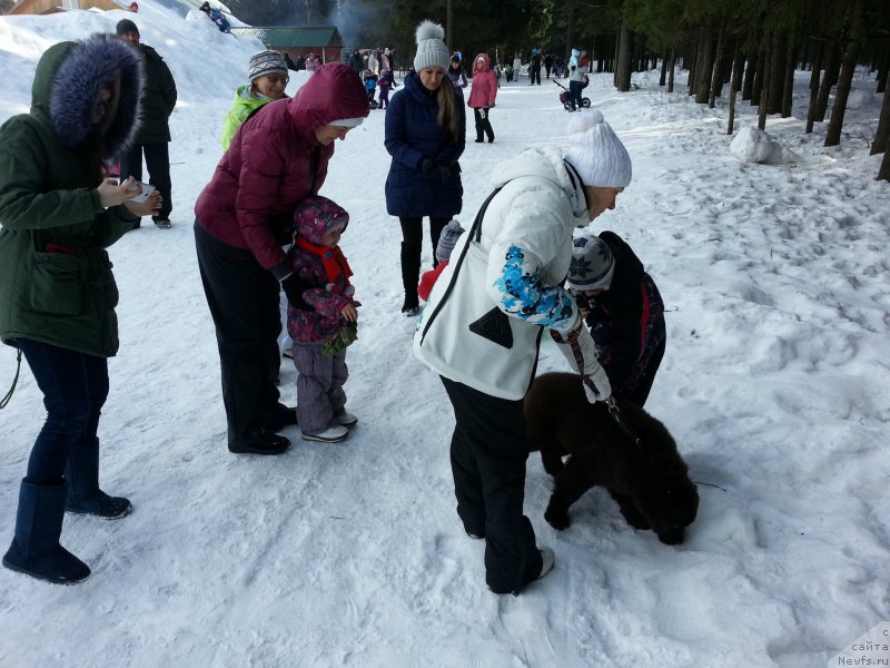 Фотография № 203459