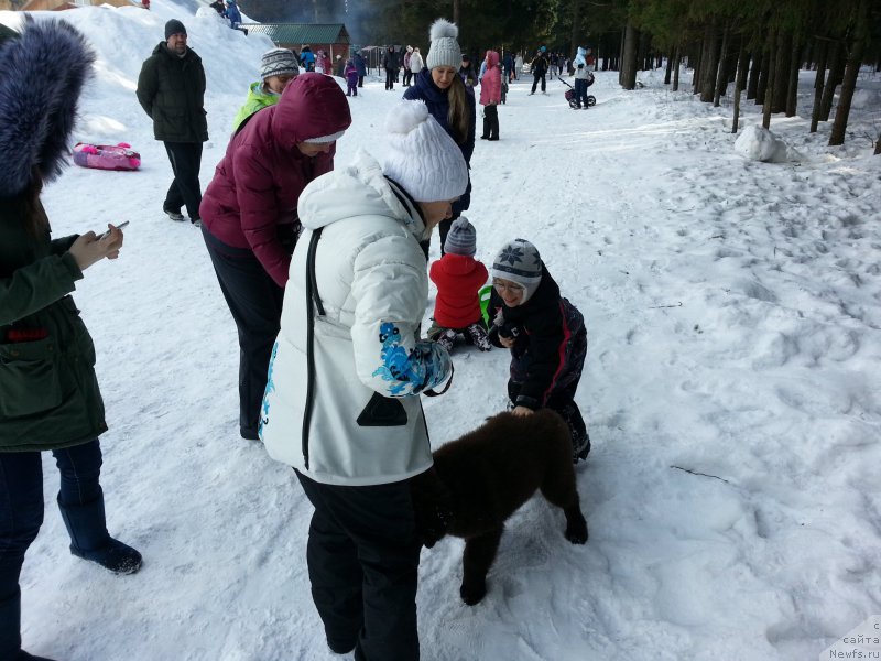 Фотография № 203460