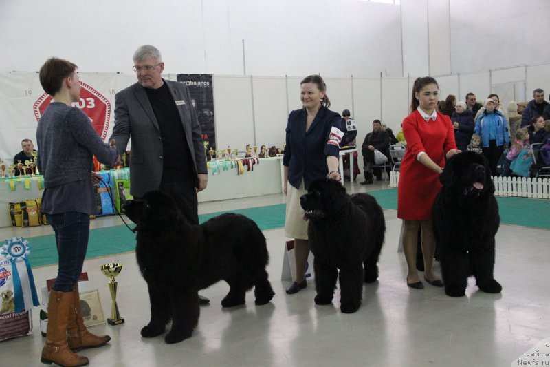 Фотография № 203493