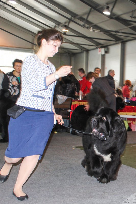 Фотография № 203531