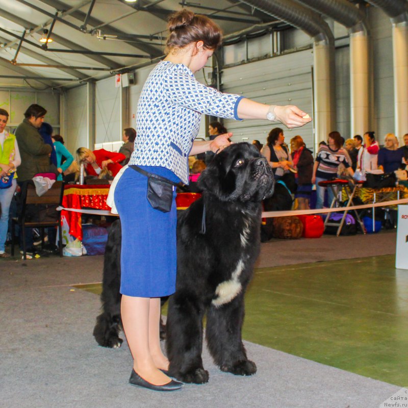 Фотография № 203532