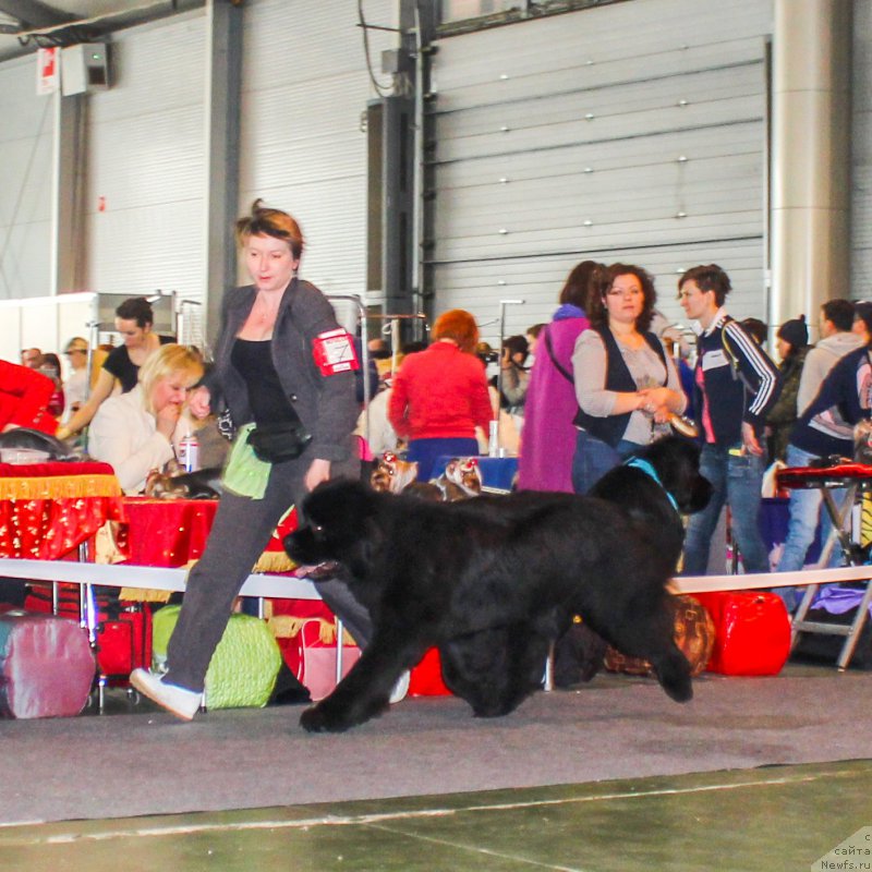 Фотография № 203535