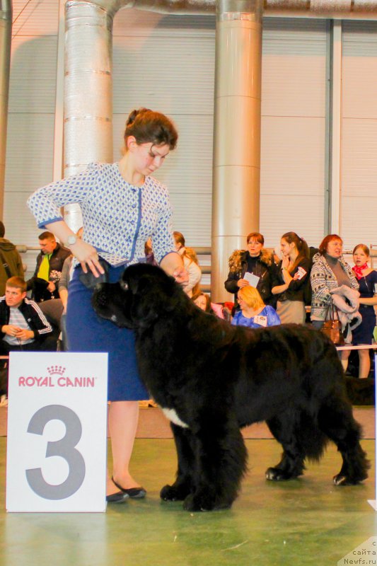 Фотография № 203539