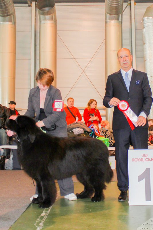 Фотография № 203541