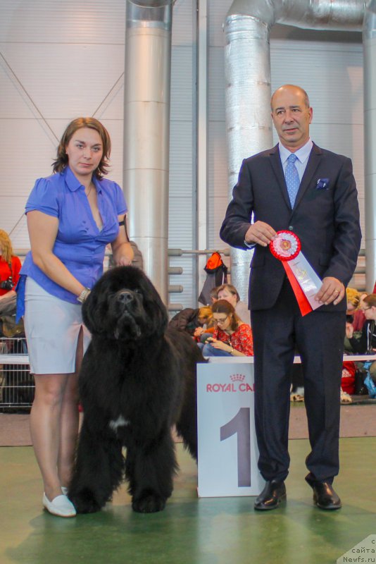 Фотография № 203543