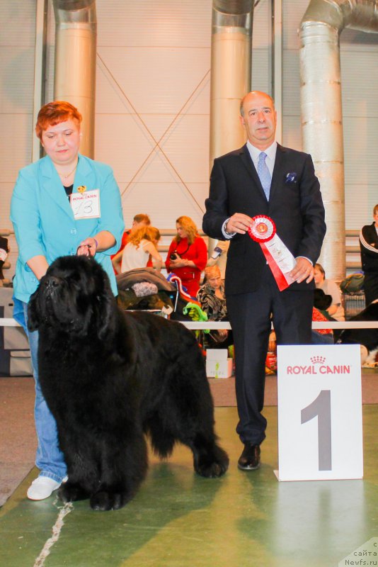 Фото: ньюфаундленд Thickish Newfoundland Waterfall Land's Only