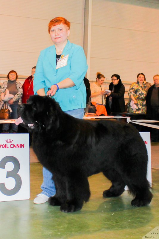 Фотография № 203546