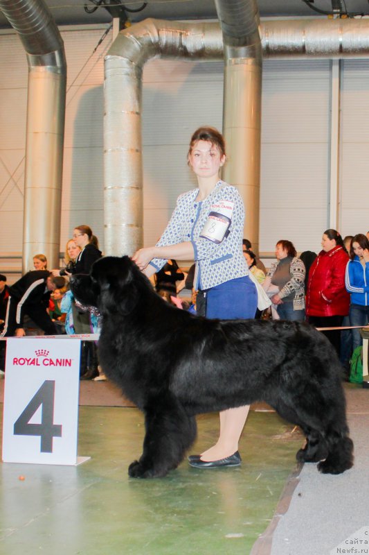 Фотография № 203547