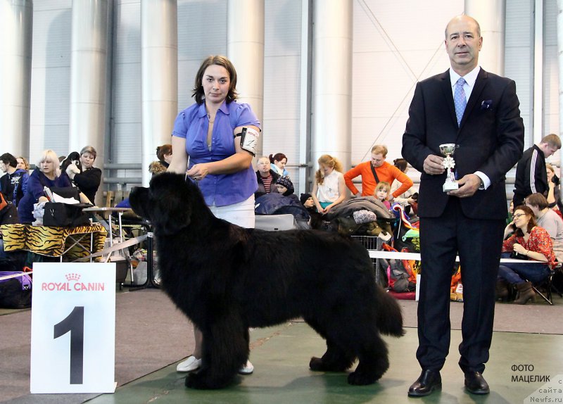 Фотография № 203555