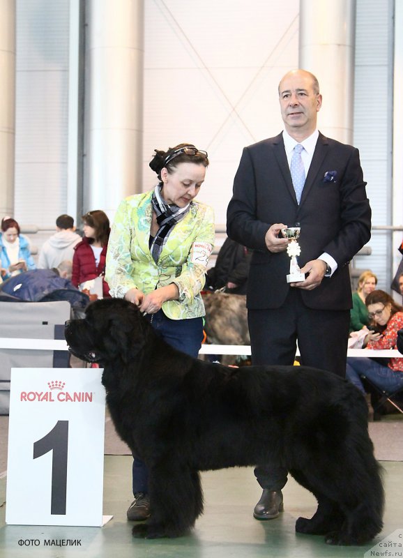 Фотография № 203560