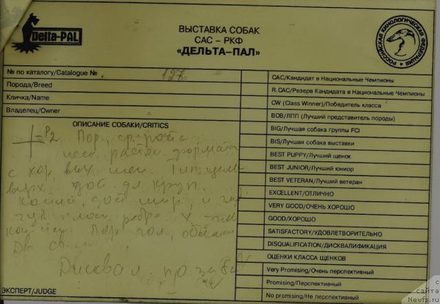 Фотография № 20357