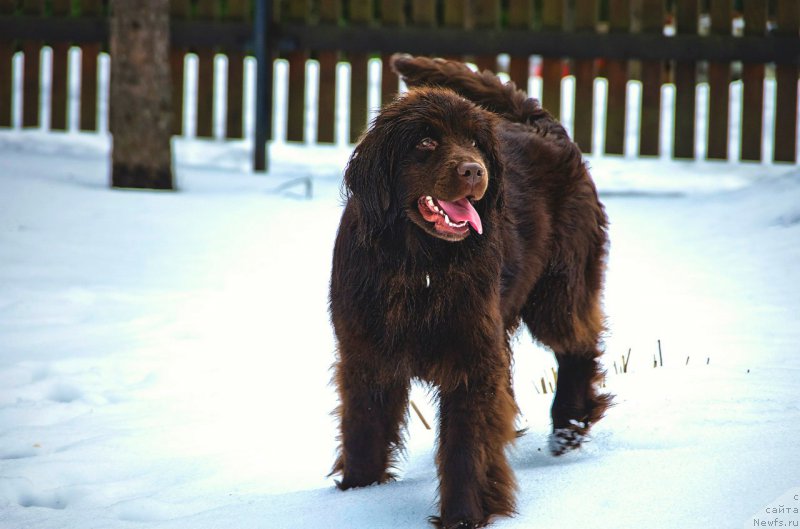 Фотография № 203570